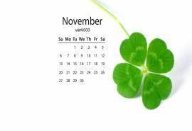 2016年11月日历绿色植物四叶草桌面壁纸下载