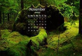 2016年11月日历小清新自然风景壁纸图片下载