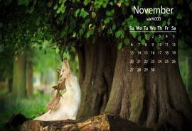 2016年11月日历绿色大自然动物壁纸图片下载