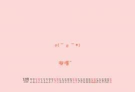 2016年12月日历搞笑文字桌面壁纸