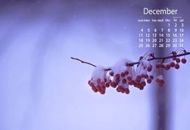 2016年12月日历雪景桌面壁纸