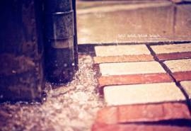 清新唯美的下雨天风景电脑桌面壁纸