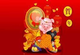 恭贺新年可爱卡通猪桌面壁纸下载
