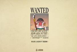 可爱卡通简约海贼王小猪滚滚语录桌面壁纸下载