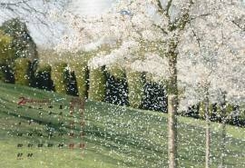2017年2月唯美风景春天满树梨花高清日历壁纸