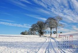 2017年2月冬季唯美高清雪景桌面日历壁纸