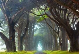 唯美意境风景1080p高清桌面壁纸
