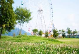 夏日小清新美丽风景高清壁纸