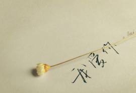 简约伤感文字创意唯美意境高清壁纸