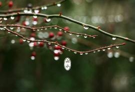 二十四节气雨水高清风景壁纸