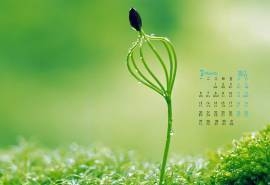 2017年3月清新绿色护眼嫩芽高清日历壁纸  第二辑