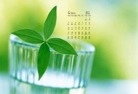 2017年4月清新绿色护眼嫩芽高清日历壁纸