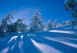 2017年4月唯美冬日雪景纯白绝美高清日历壁纸