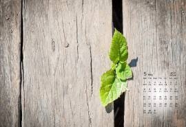 2017年5月唯美意境风景日历壁纸