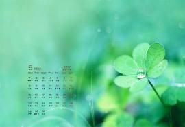 2017年5月小清新唯美四叶草高清桌面日历壁纸