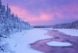 森林雪地唯美自然风景高清桌面壁纸