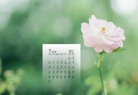 2017年7月日系小清新唯美高清日历壁纸