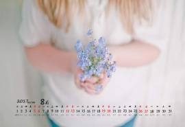 2017年8月日系小清新静物唯美意境高清日历壁纸