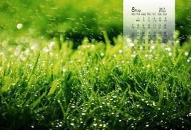 2017年8月护眼自然小清新桌面日历壁纸