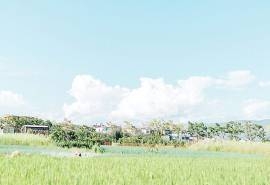 夏日小清新高清唯美意境图片桌面壁纸