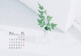 2017年9月日系小清新唯美日历图片壁纸
