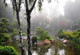 绿色花园风景图片高清宽屏桌面壁纸
