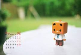 2017年11月静物唯美意境图片桌面壁纸