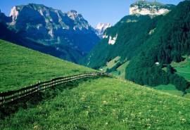 清新绿色护眼山水风景图片桌面壁纸