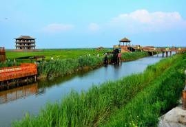 辽宁盘锦市红海滩风景摄影高清宽屏桌面壁纸