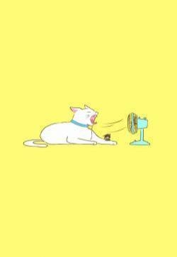 可爱卡通小猫咪高清图片手机壁纸