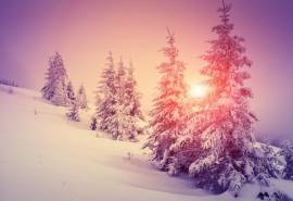 梦幻冬日雪景唯美高清桌面壁纸