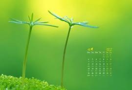2017年12月自然风景小清新桌面日历壁纸