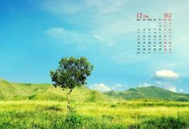 2017年12月绿色优美风景日历图片桌面壁纸
