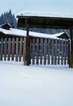 唯美冬日雪景高清手机壁纸