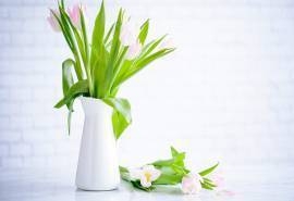 小清新花瓶花束静物摄影高清宽屏桌面壁纸