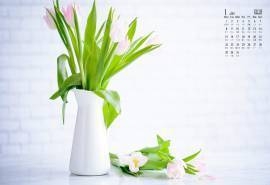 2018年1月小清新花瓶花束静物摄影高清日历壁纸
