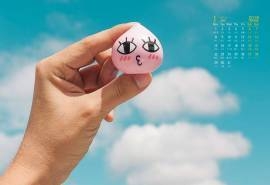 2018年1月唯美日系小清新静物摄影高清日历壁纸