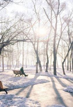 雪白唯美的冬日雪景高清图片手机壁纸