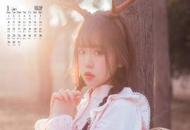 2018年1月娃娃脸萝莉美女森系写真日历壁纸