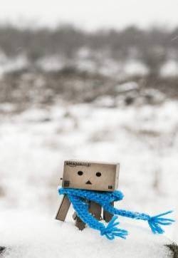 雪地中的纸盒人阿楞可爱图片手机壁纸