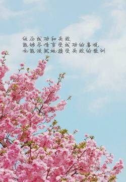 自勉励志文字图片高清手机壁纸