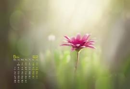 2018年5月绿色护眼自然小清新桌面日历壁纸