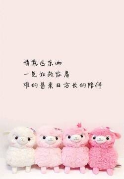 唯美心情语录高清手机壁纸图片