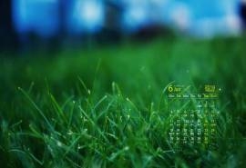 2018年6月绿色护眼自然小清新桌面日历壁纸