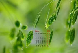 2018年6月绿色护眼自然小清新桌面日历壁纸