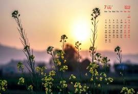 2018年7月绿色护眼自然小清新桌面日历壁纸