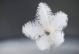 小清新绿色植物唯美高清桌面壁纸