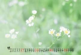2018年10月绿色护眼小清新桌面日历壁纸