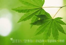 2018年10月绿色护眼自然小清新桌面日历壁纸