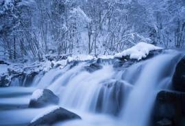 唯美冬日雪景摄影图片桌面壁纸